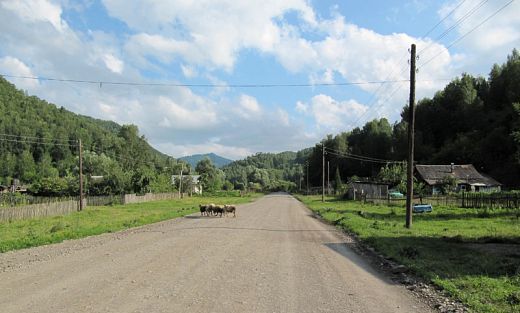 Фотографии.