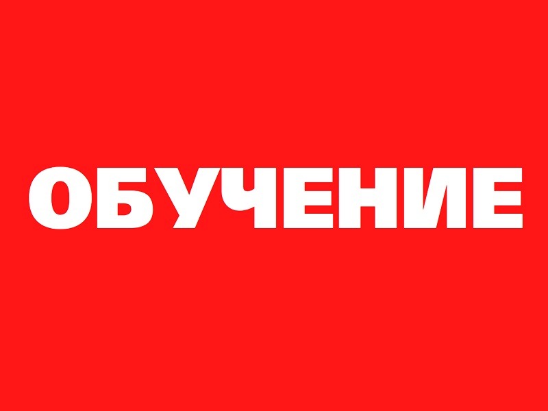 На картинке изображен баннер с надписью Обучение. Баннер предоставлен автором статьи. Сгенерировано Алиса Al..