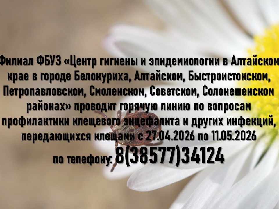 Картинка предоставлена автором статьи. На изображени размещён чёрный текст, который содержит информацию о горячей линии..